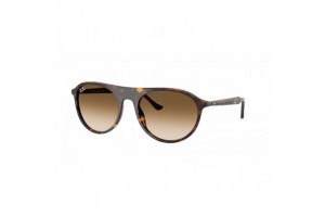 Ray-Ban RB2215 902/51 Havana Clear Gradient Brown napszemüveg
