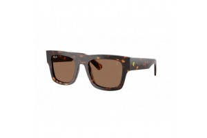 Ray-Ban RB2217M F61373 Havana Dark Brown napszemüveg