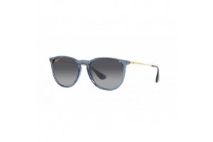 Ray-Ban RB4171 Erika Transparent Blue Grey