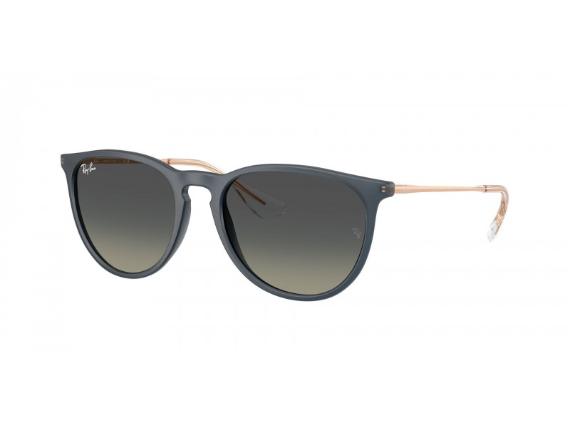 Ray-Ban RB4171 Erika Rubber Blue napszemüveg