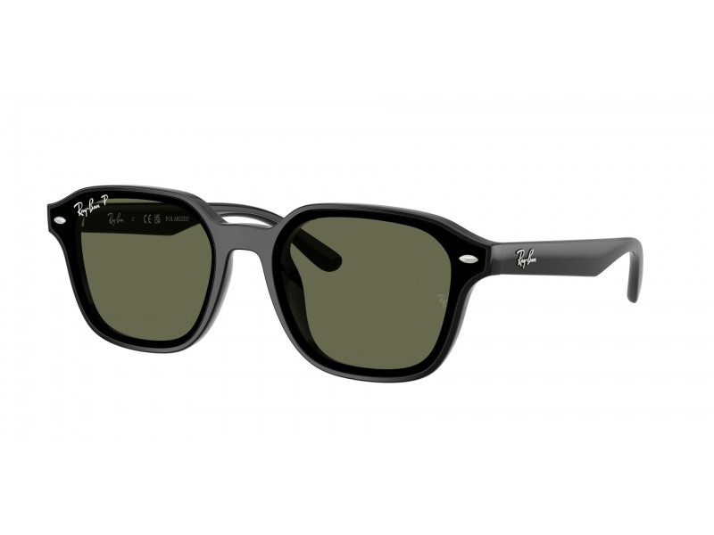 Ray-Ban RB4458D Black Dark Green polar napszemüveg