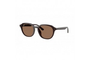 Ray-Ban RB4459D 623173 Opal Brown Dark Brown napszemüveg