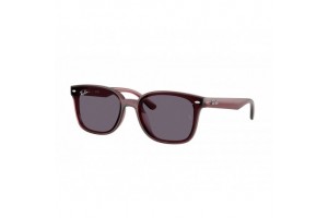 Ray-Ban RB4461D 659373 Transparent Dark Brown Violet napszemüveg