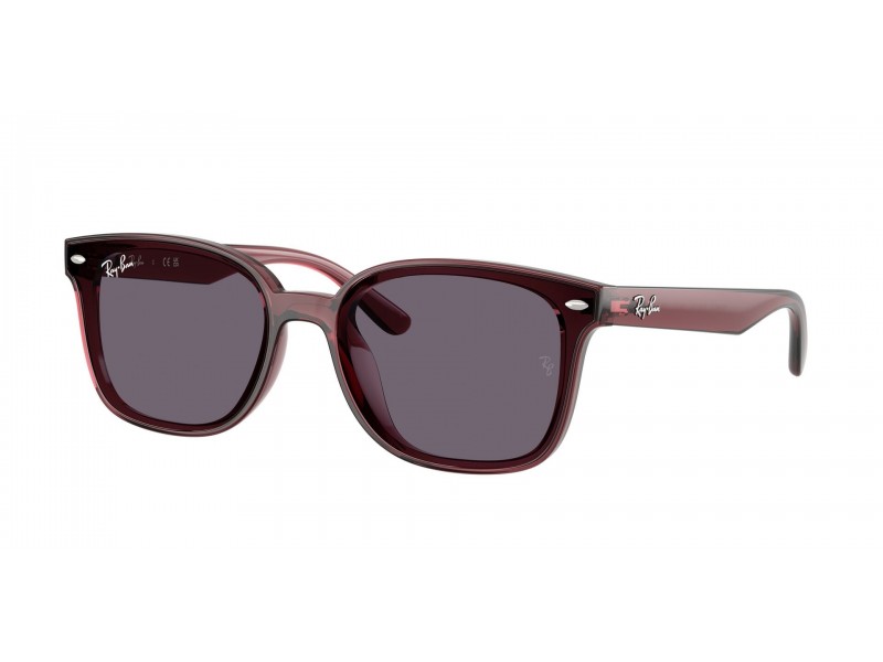 Ray-Ban RB4461D napszemüveg - Dark Brown Violet