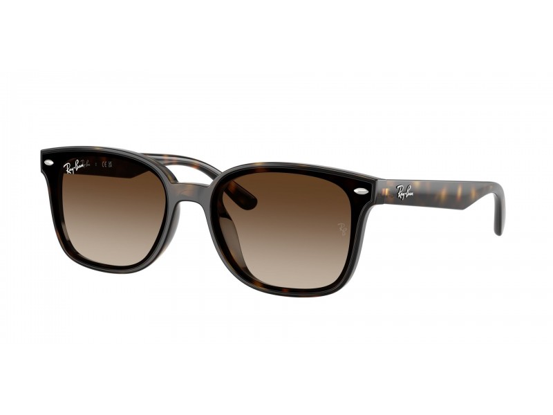 Ray-Ban RB4461D 710/13 Havana Gradient Brown napszemüveg