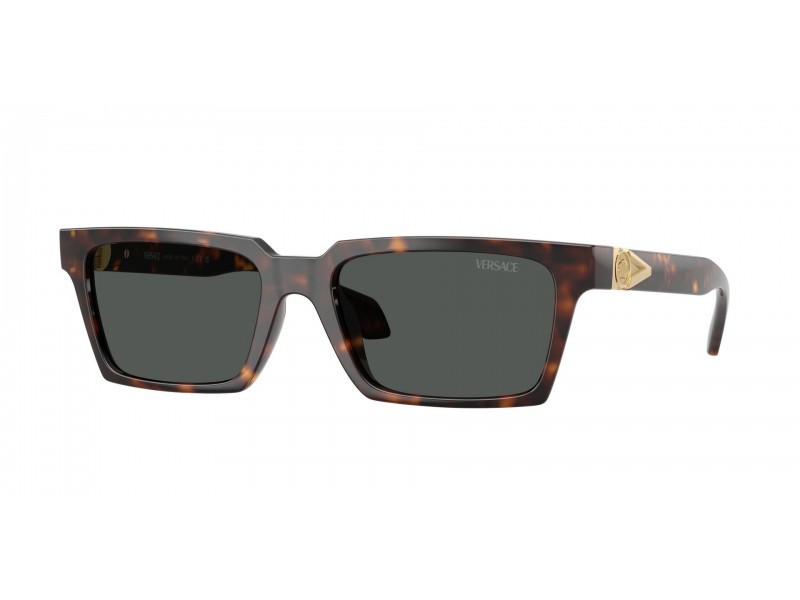 Versace VE4490U 108/87 Havana Dark Grey férfi napszemüveg