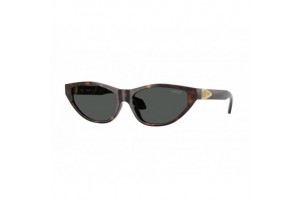 Versace VE4491U 108/87 Havana Dark Grey napszemüveg