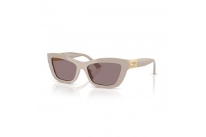 Jimmy Choo JC5030U ASH PURPLE BROWN női napszemüveg