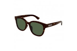 Gucci GG1797SK 002 - Shiny Dark Havana Green
