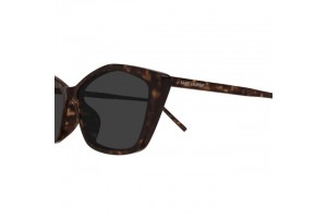 Saint Laurent SL 775 002 Shiny Dark Havana Grey
