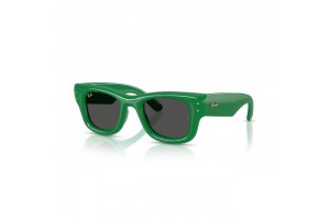 Ray-Ban RB4940 Wayfarer Puffer – Green Ultra Black