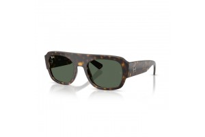 Ray-Ban RB2218 HAVANA GREEN napszemüveg
