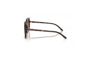 Vogue VO5684SD Dark Havana - pink barna gradient lencse