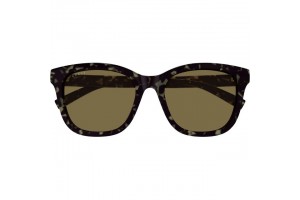 Gucci GG1984SK 003 HAVANA BROWN női napszemüveg
