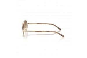 Emporio Armani EA2171 matt arany napszemüveg