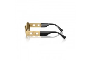 Versace VE2264 10025A GOLD BROWN napszemüveg
