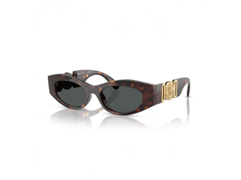Versace VE4480U HAVANA Dark Grey napszemüveg
