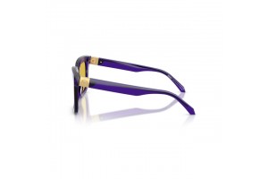 Versace VE4498 napszemüveg - transparent dark violet yellow