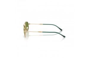 Ray-Ban RB3719 ARISTA Gold Green