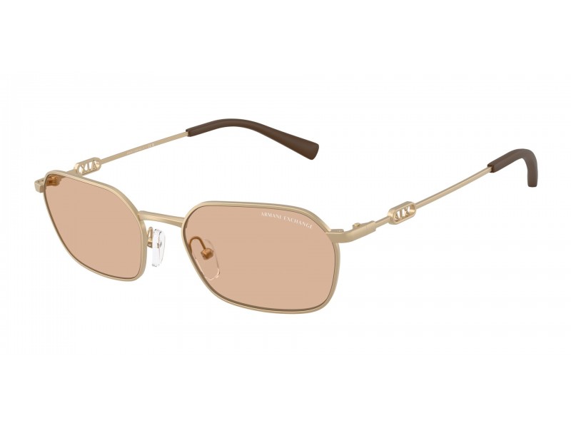 ARMANI EXCHANGE AX2056S matt aranybarna napszemüveg