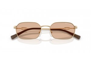 ARMANI EXCHANGE AX2056S matt aranybarna napszemüveg