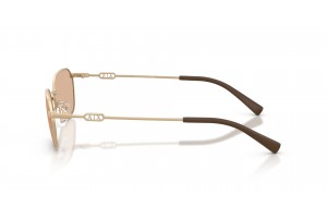 ARMANI EXCHANGE AX2056S matt aranybarna napszemüveg