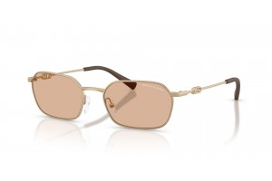 ARMANI EXCHANGE AX2056S matt aranybarna napszemüveg