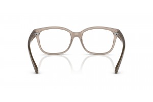 ARMANI EXCHANGE AX3098 Shiny Transparent Tundra