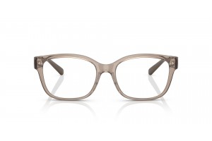 ARMANI EXCHANGE AX3098 Shiny Transparent Tundra