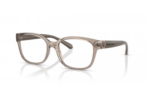 ARMANI EXCHANGE AX3098 Shiny Transparent Tundra