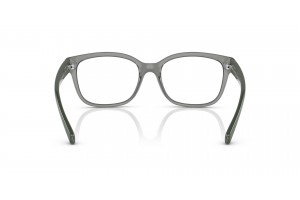 ARMANI EXCHANGE AX3098 Shiny Transparent Green