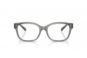 ARMANI EXCHANGE AX3098 Shiny Transparent Green