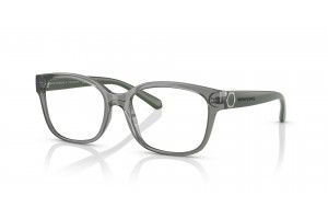 ARMANI EXCHANGE AX3098 Shiny Transparent Green