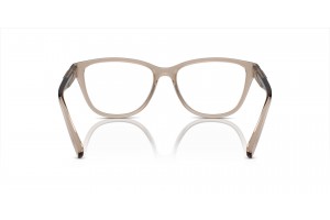 ARMANI EXCHANGE AX3111U fényes átlátszó barna