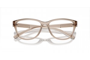 ARMANI EXCHANGE AX3111U fényes átlátszó barna