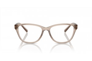 ARMANI EXCHANGE AX3111U fényes átlátszó barna