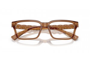 ARMANI EXCHANGE AX3116 - fényes átlátszó barna