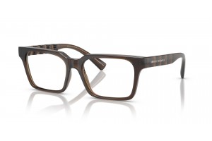 ARMANI EXCHANGE AX3122 8357 Shiny Transparent Green