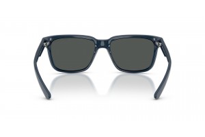 Armani Exchange AX4026S Shiny Navy Blue Smoke napszemüveg