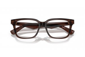 BURBERRY BE2425D 4116 barna