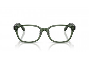 Burberry BE2436D 4174 zöld demo lencse