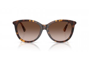 Burberry BE4455 Dark Havana napszemüveg