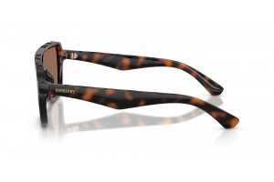 Burberry BE4474U Dark Havana napszemüveg