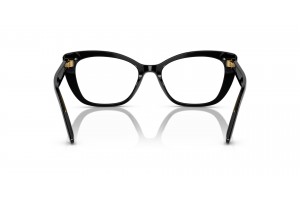 DOLCE & GABBANA DG3360 fekete/átlátszó szürke