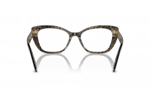 DOLCE & GABBANA DG3360 Black On Leo Brown