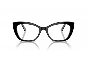 DOLCE & GABBANA DG3360 Black On Leo Brown