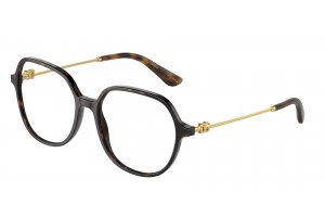 DOLCE & GABBANA DG3364 502 Havana Demo Lens szemüveg