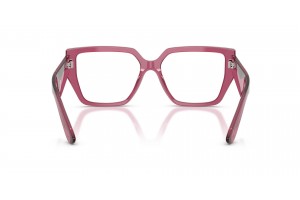 DOLCE & GABBANA DG3373 3211 Transparent Bordeaux