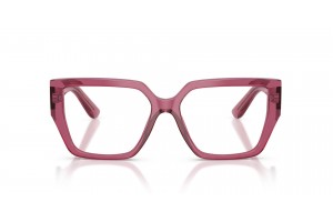 DOLCE & GABBANA DG3373 3211 Transparent Bordeaux