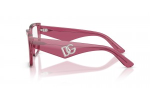 DOLCE & GABBANA DG3373 3211 Transparent Bordeaux
